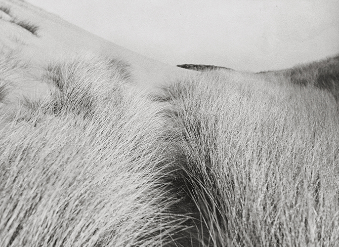 Raoul Hausmann , paysage , dunes , dada